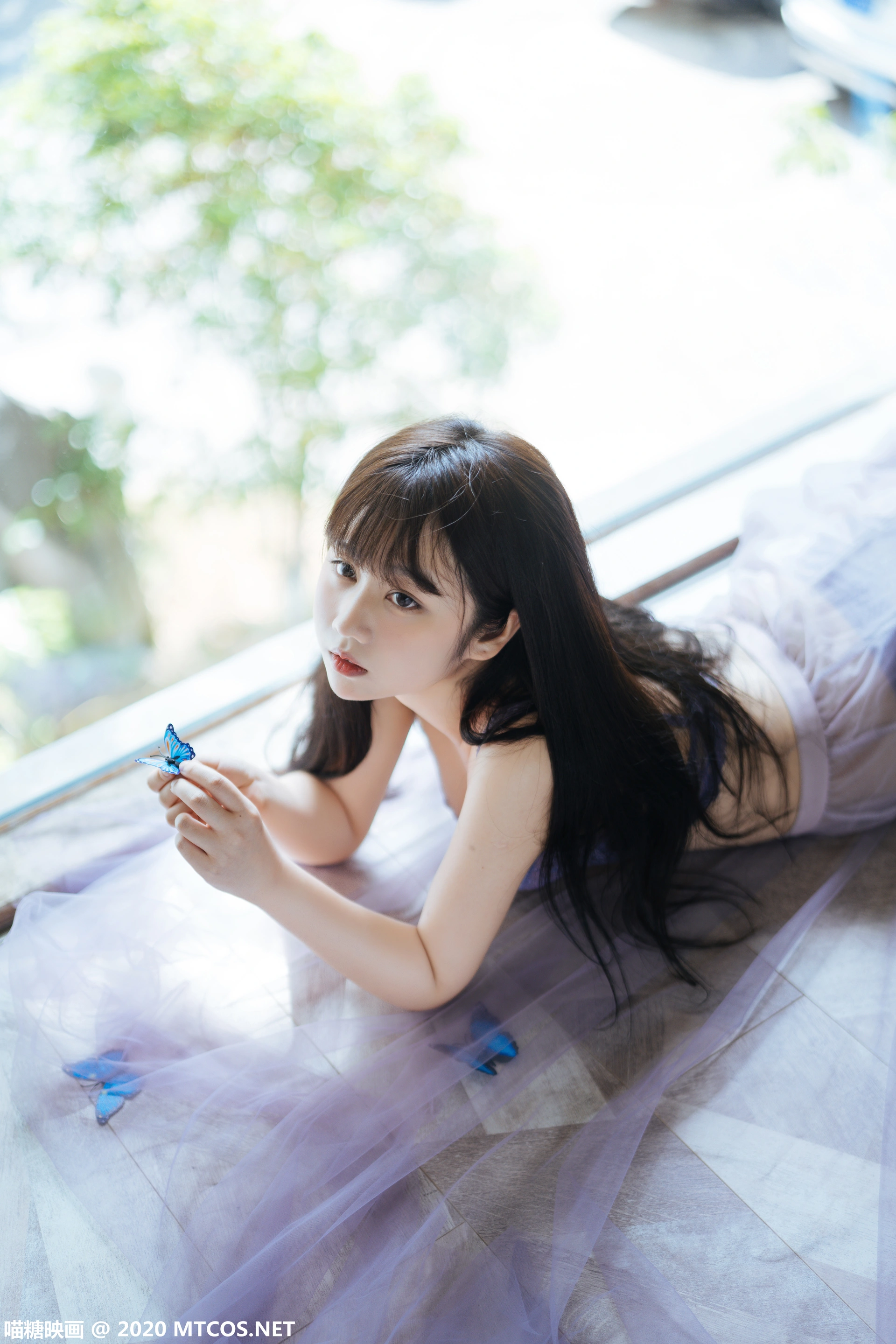 喵糖映画 - VOL.309 蓝蝶静夏 1